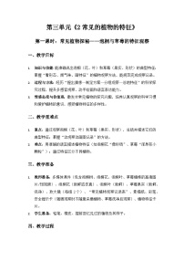 小学科学大象版（2024）一年级下册（2024）2 常见植物的特征教学设计