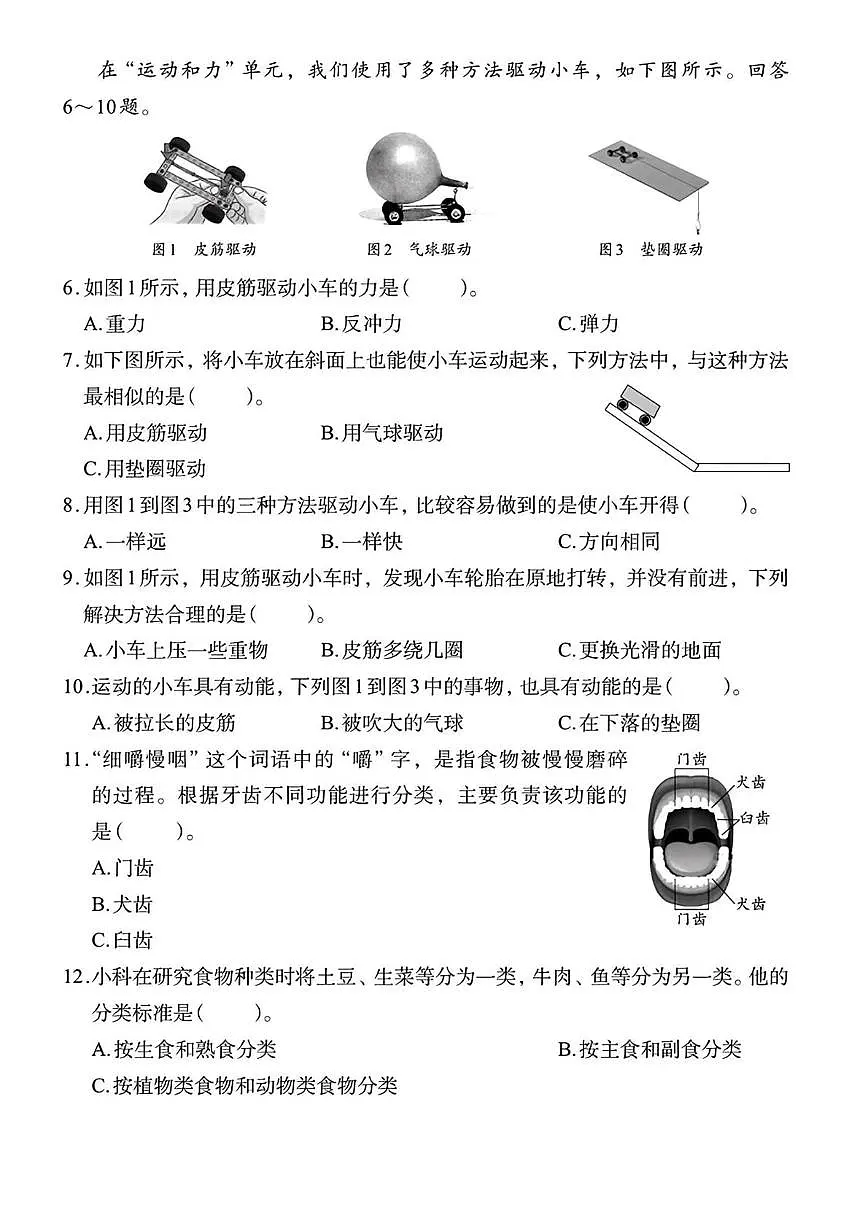 浙江省杭州市上城区2024-2025学年四年级上学期期末科学试题第2页