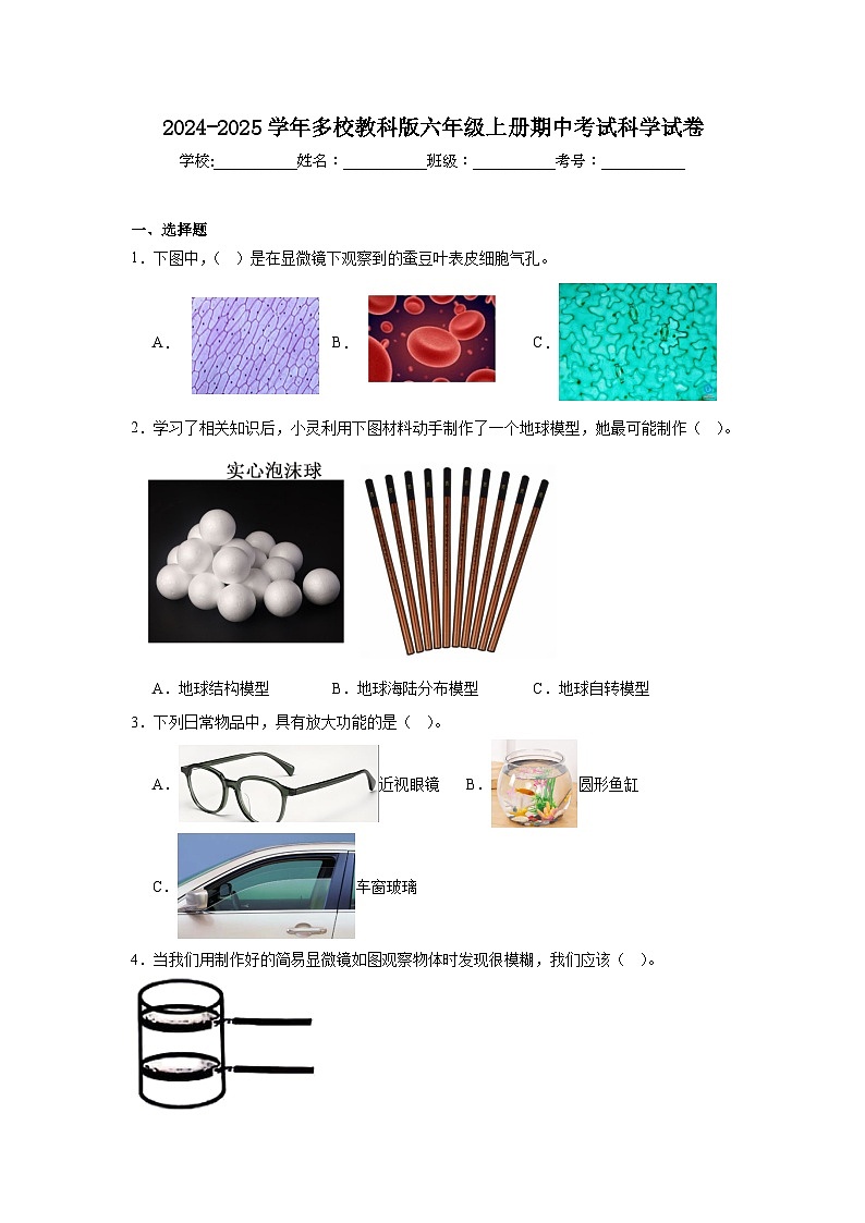 2024-2025学年多校教科版六年级上册期中考试科学试卷（含答案）第1页