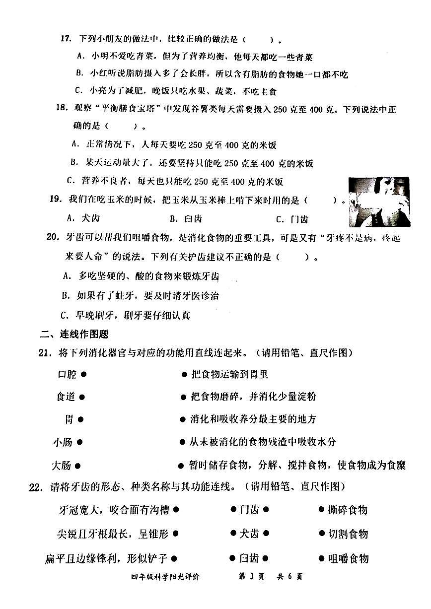 广东省深圳市罗湖区2025-2026学年四年级上学期10月阳光评价二科学试题（月考）第3页