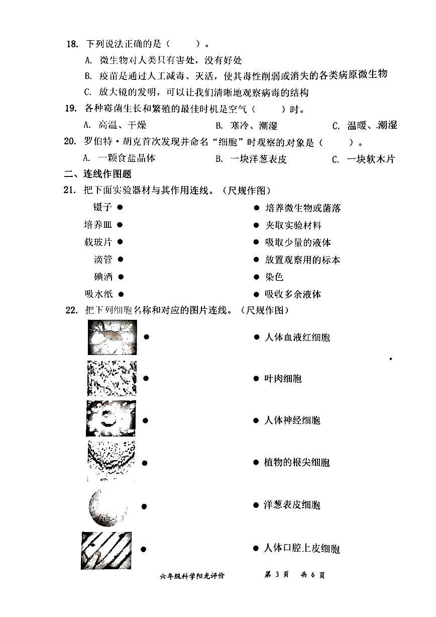 广东省深圳市罗湖区2025-2026学年六年级上学期9月阳光评价一科学试题（月考）第3页