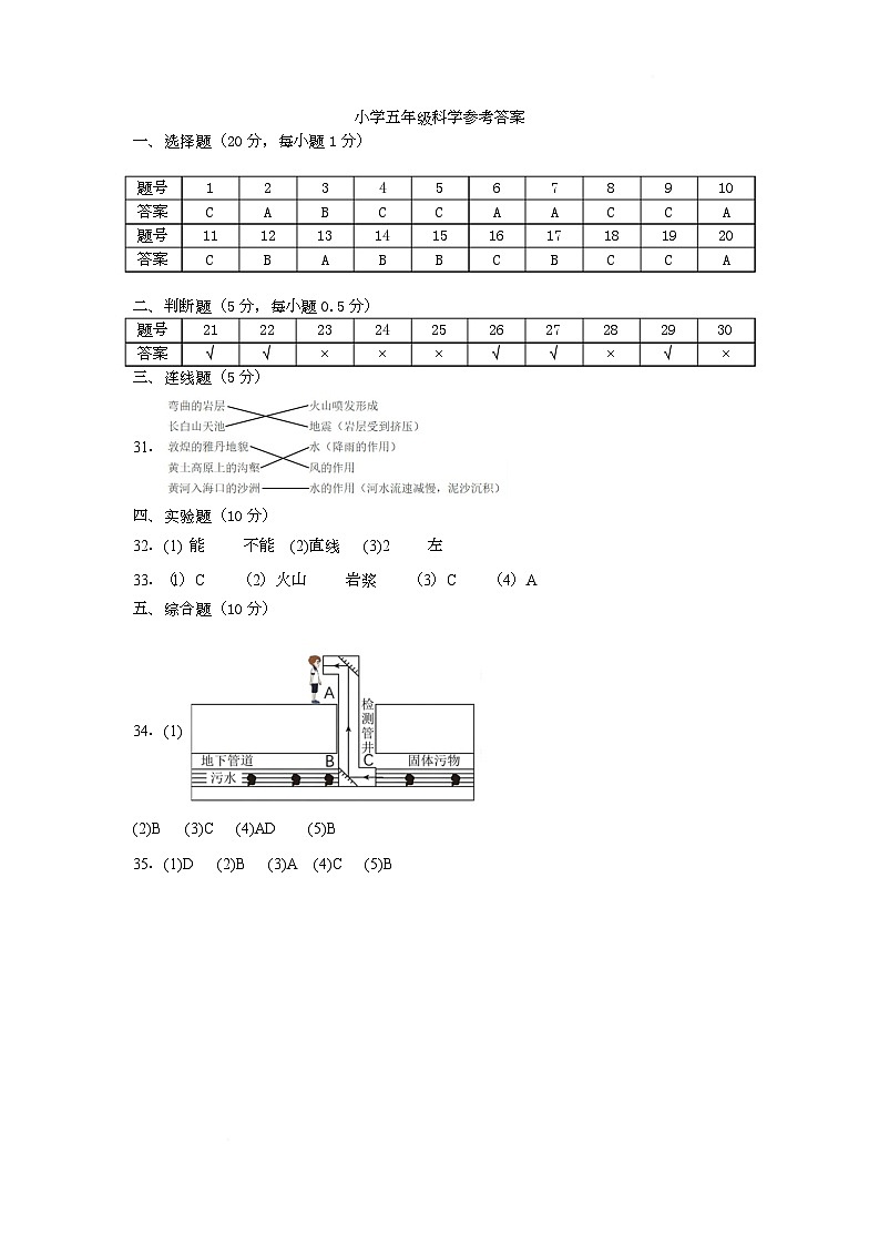 小学五年级科学参考答案第1页