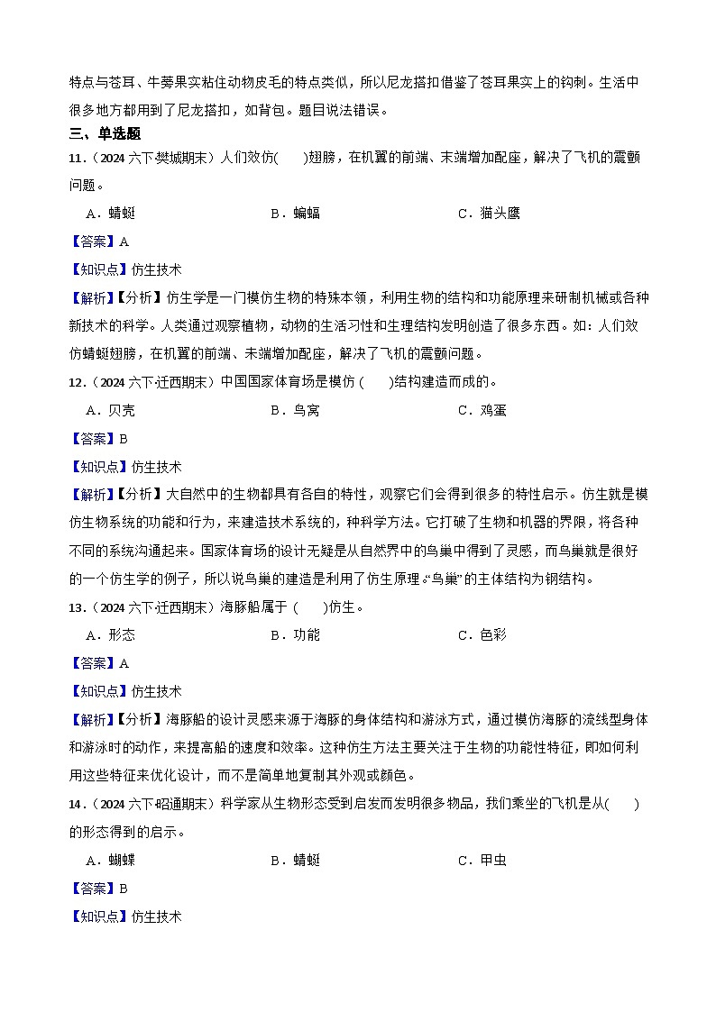 粤教粤科版（2019）六年级下册科学1.7《大自然的启示》(教师版)第3页