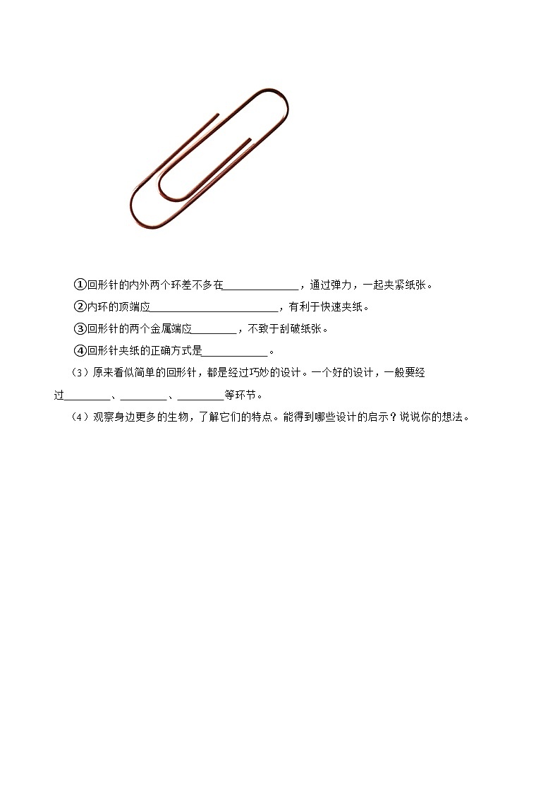 粤教粤科版（2019）六年级下册科学1.7《大自然的启示》(学生版)第3页