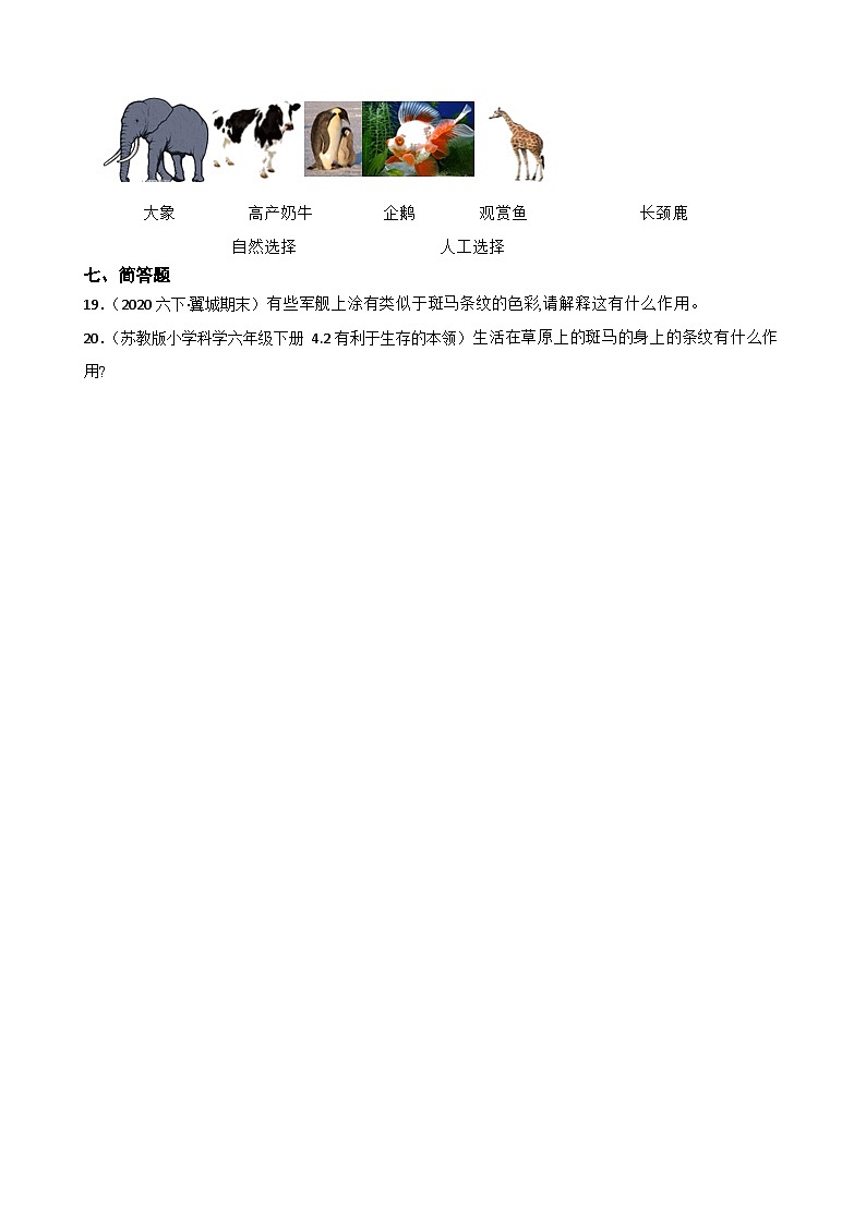 粤教粤科版（2019）六年级下册科学3.15《动物对环境的适应》(学生版)第3页