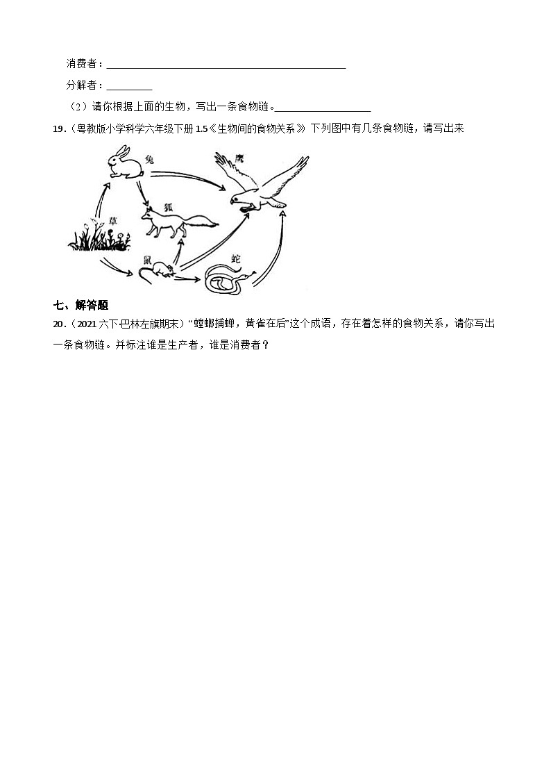 粤教粤科版六年级下册科学3.16《生物间的食物关系》(学生版)第3页