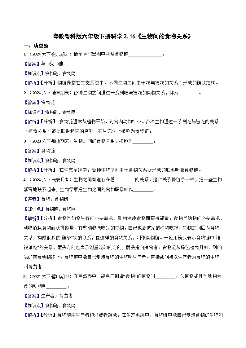 粤教粤科版六年级下册科学3.16《生物间的食物关系》(教师版)第1页