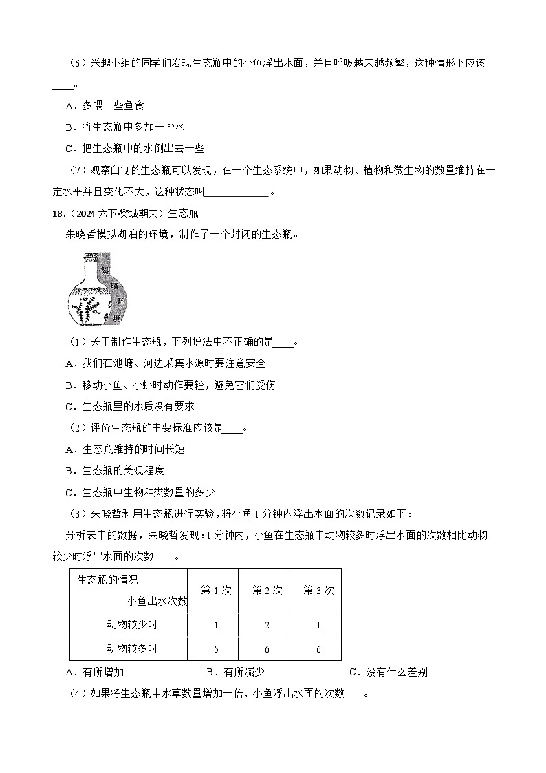 粤教粤科版六年级下册科学3.18《专题研究：生态瓶的秘密》(学生版)第3页