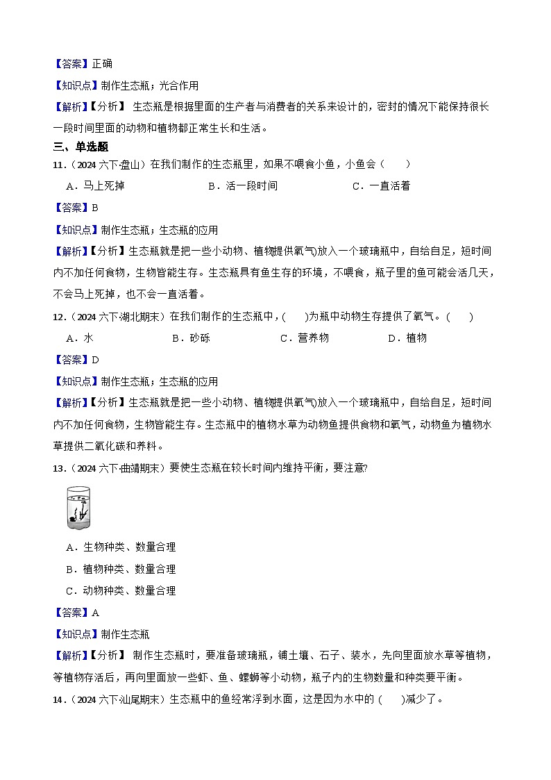 粤教粤科版六年级下册科学3.18《专题研究：生态瓶的秘密》(教师版)第3页