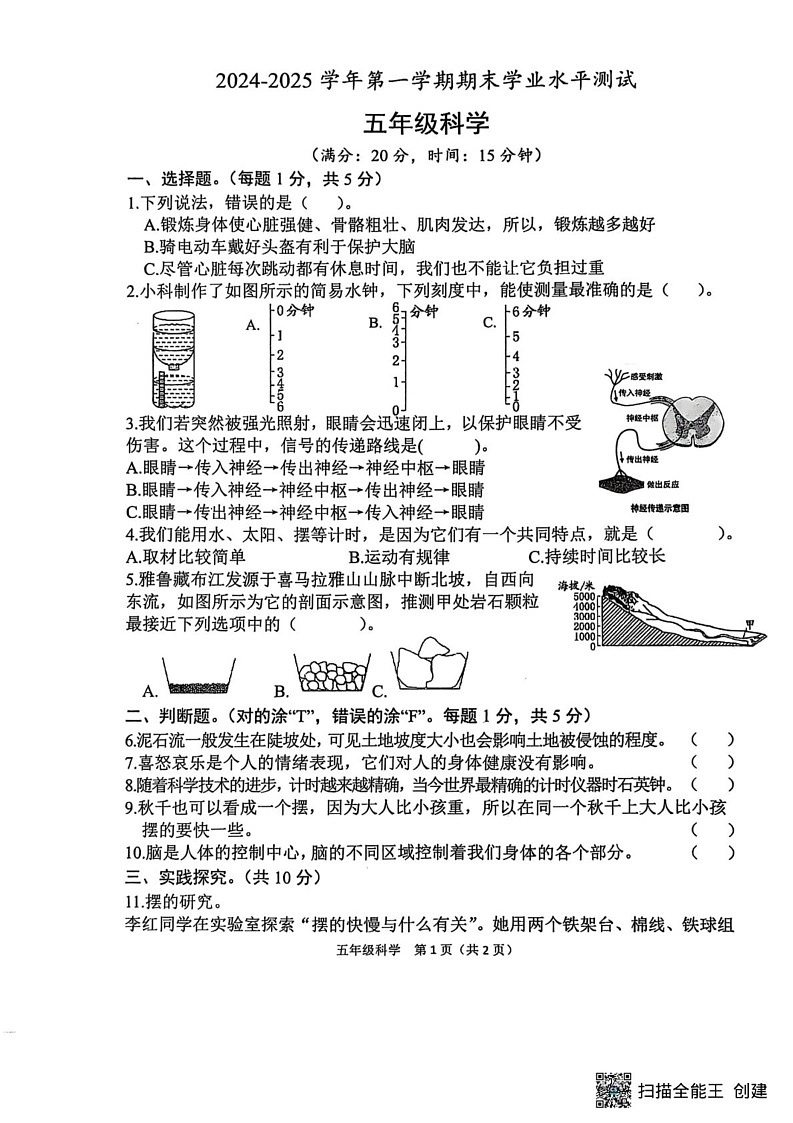 山东省菏泽市定陶区小学联盟2024-2025学年五年级上学期期末科学试题第1页