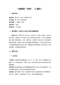 科学冀人版(2024)第一单元 奇妙的身体3 植物的“身体”教学设计