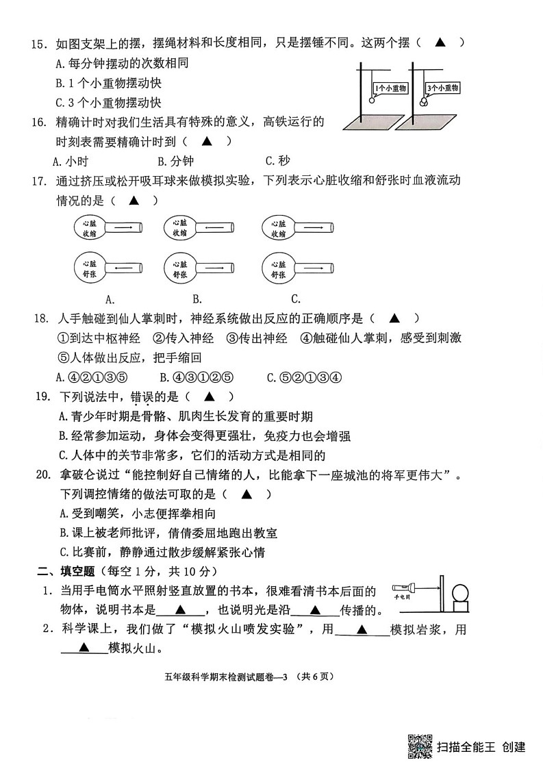 浙江省金华市金东区2024-2025五年级上学期期末考试科学试题第3页