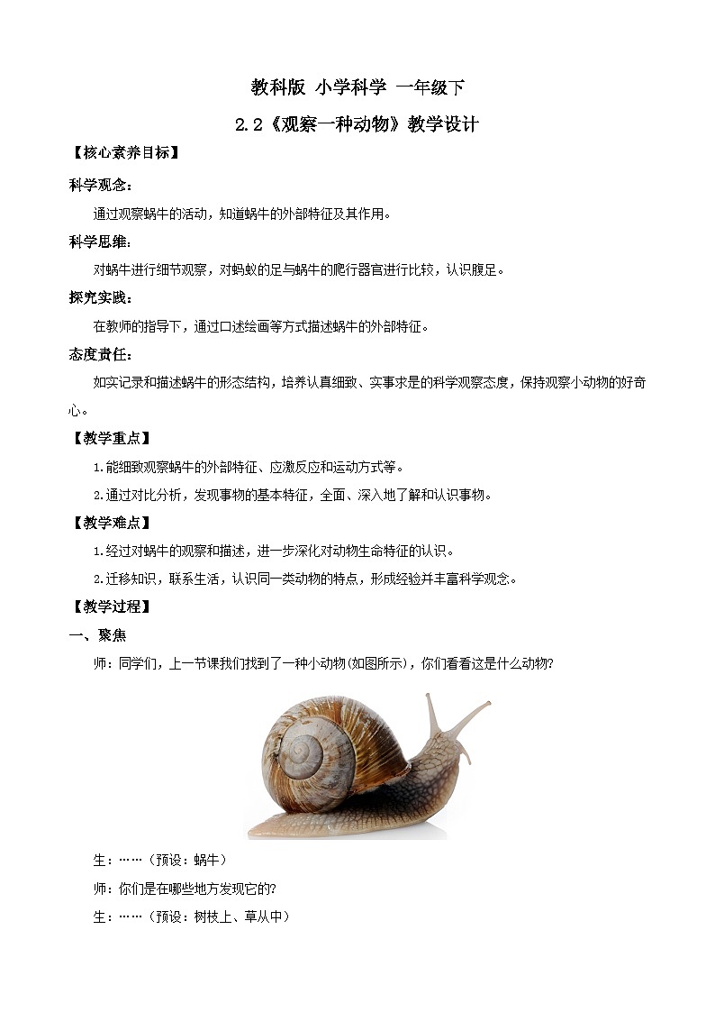 新教材 教科版 小学科学 一年级下册 2.2 观察一种动物 教学设计（含教学反思）第1页