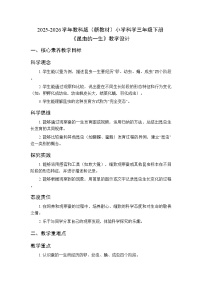 教科版(2024)三年级下册(2024)7.昆虫的一生教案