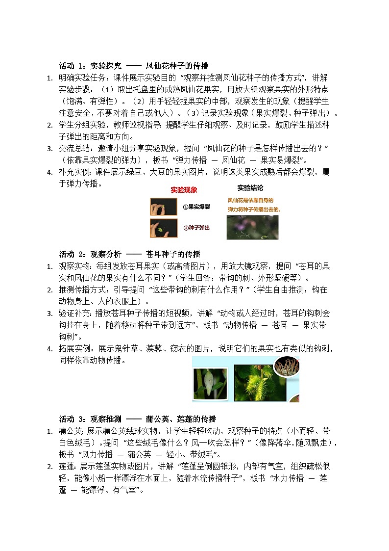 1.7《种子的传播》教学设计（含课后反思）第3页