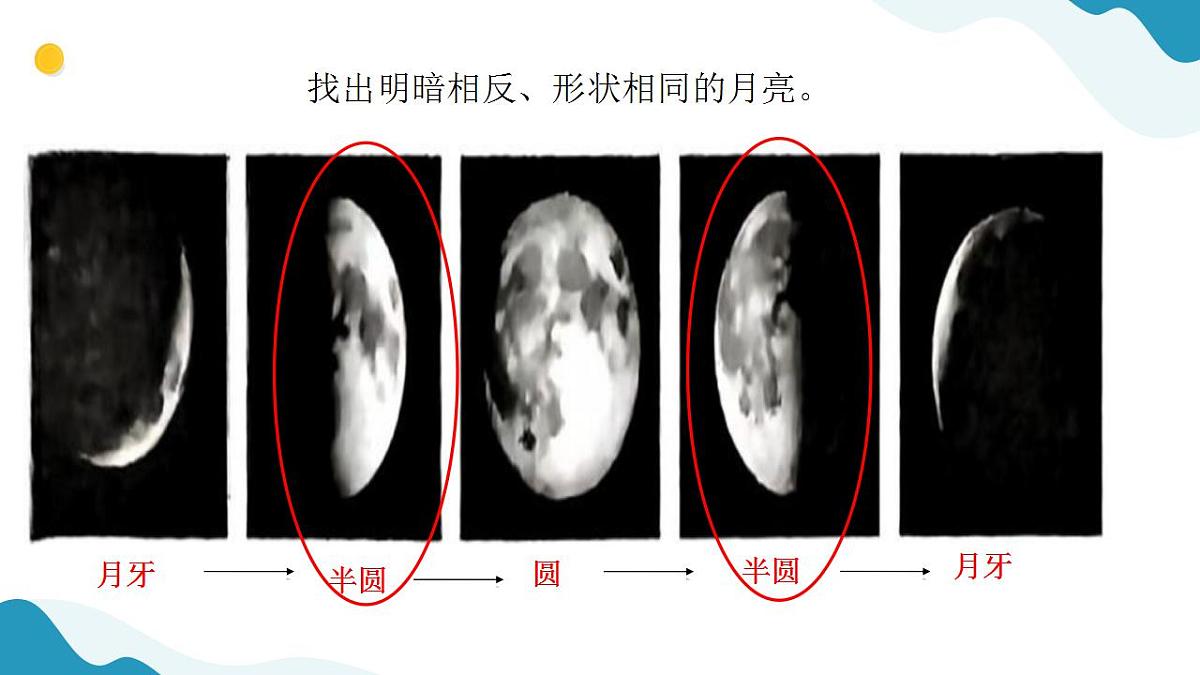 17847461第7页