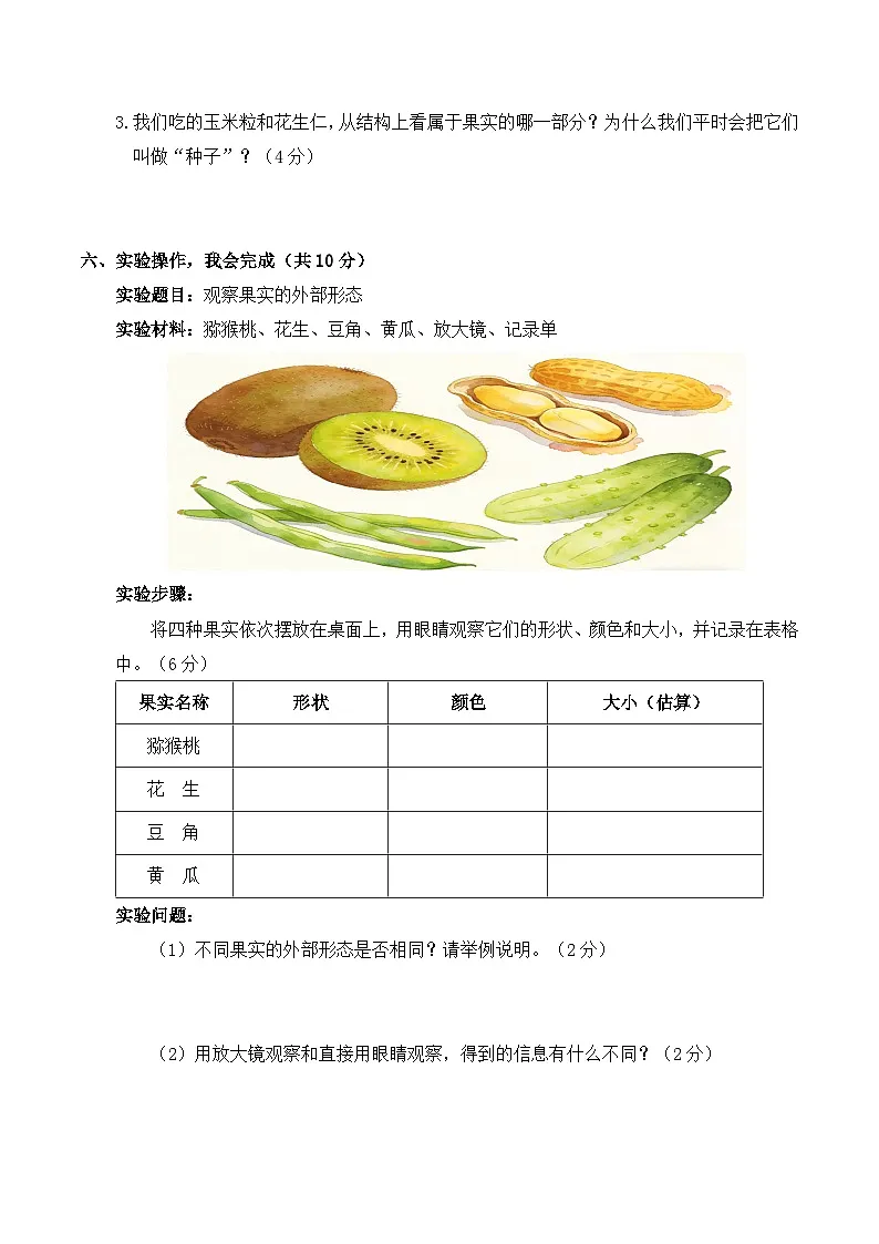 2.8 植物结果了 同步练习 2025-2026学年苏教版小学科学三年级下册（含解析）第3页