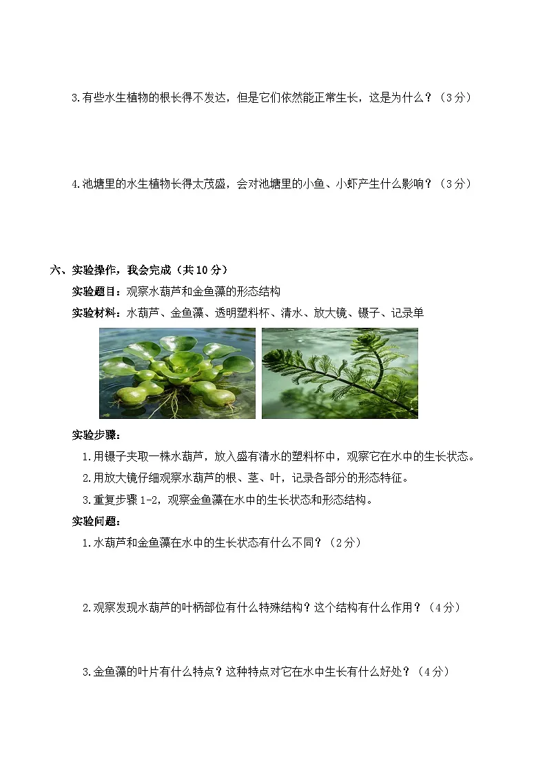 3.10 水里的植物 同步练习 2025-2026学年苏教版小学科学三年级下册（含解析）第3页