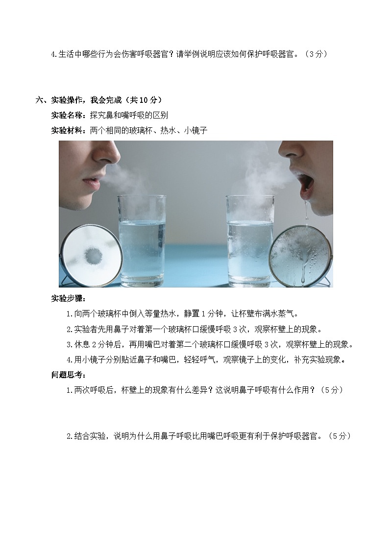 5.17 人的呼吸器官  同步练习 2025-2026学年苏教版小学科学三年级下册（含解析）第3页