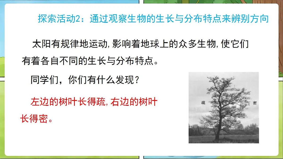 17859877第6页
