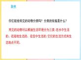 教科版（2024）科学三年级下册 2.1 不同种类的动物 （课件）