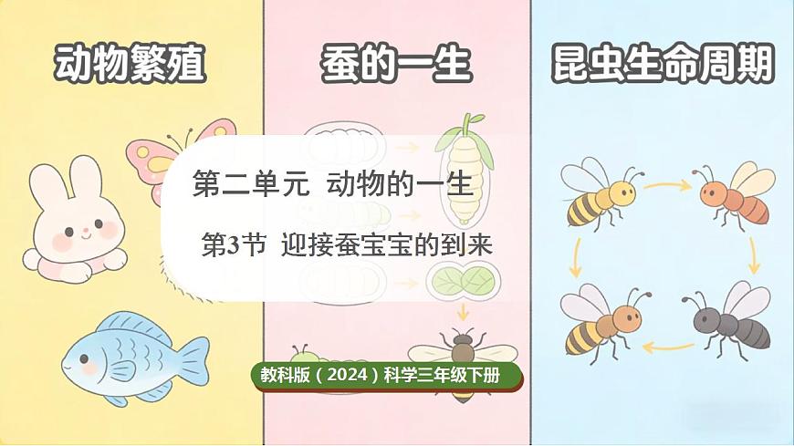 17859884第1页