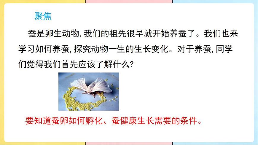 17859884第2页