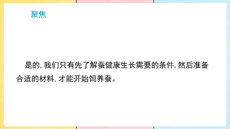17859884第3页