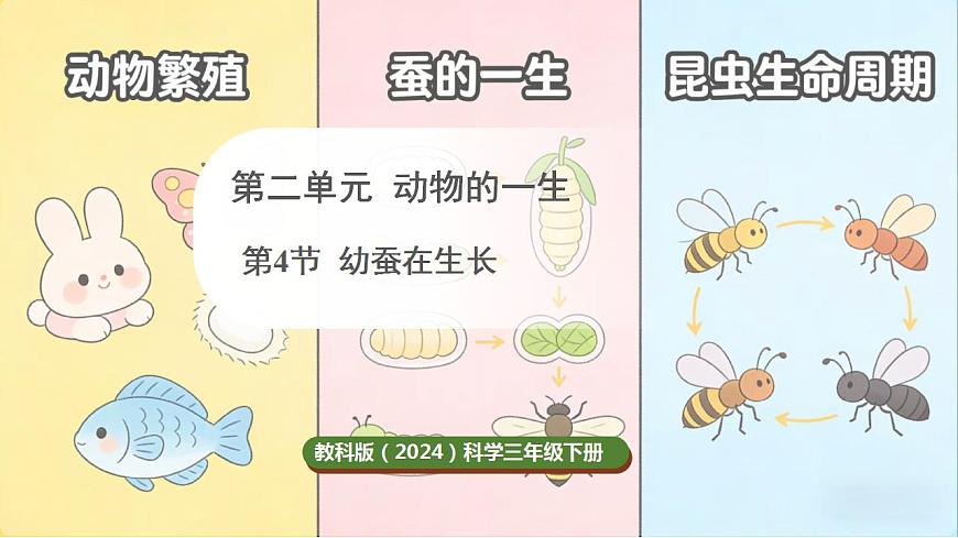 17859885第1页