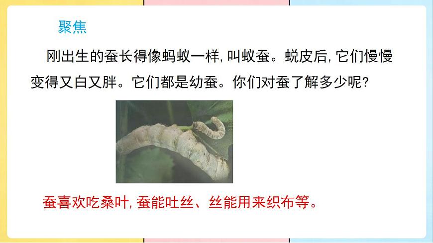 17859885第2页