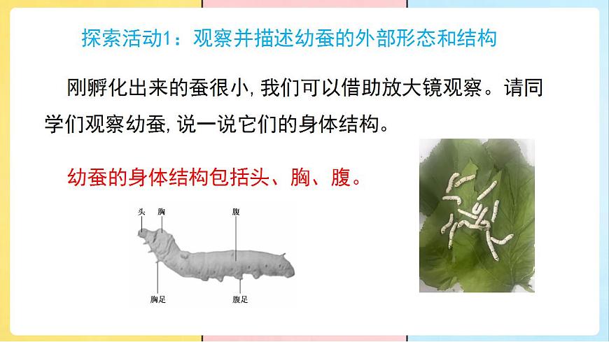 17859885第5页