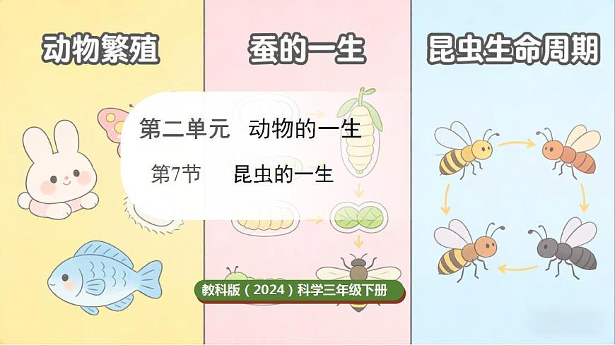 17859888第1页