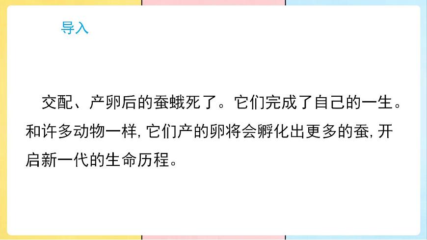 17859888第2页