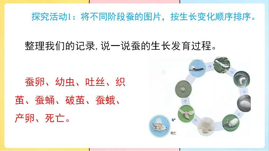 17859888第5页
