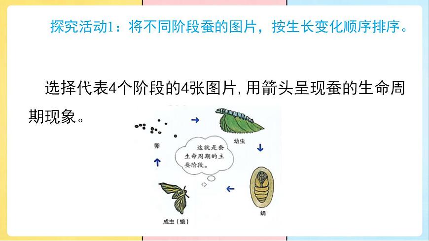 17859888第6页