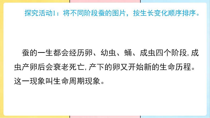 17859888第7页