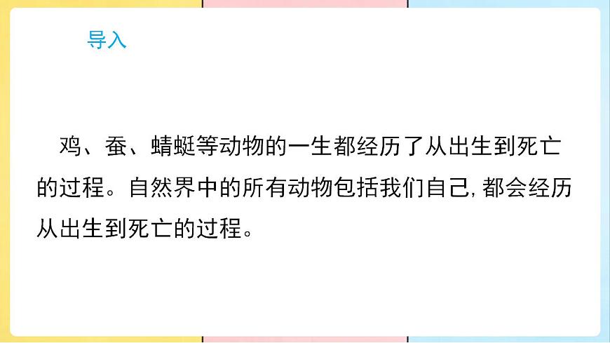 17859889第2页