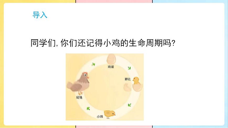 17859889第3页