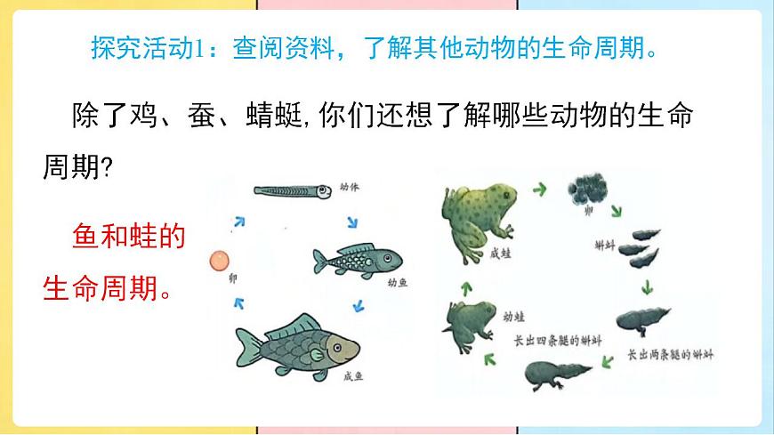 17859889第5页
