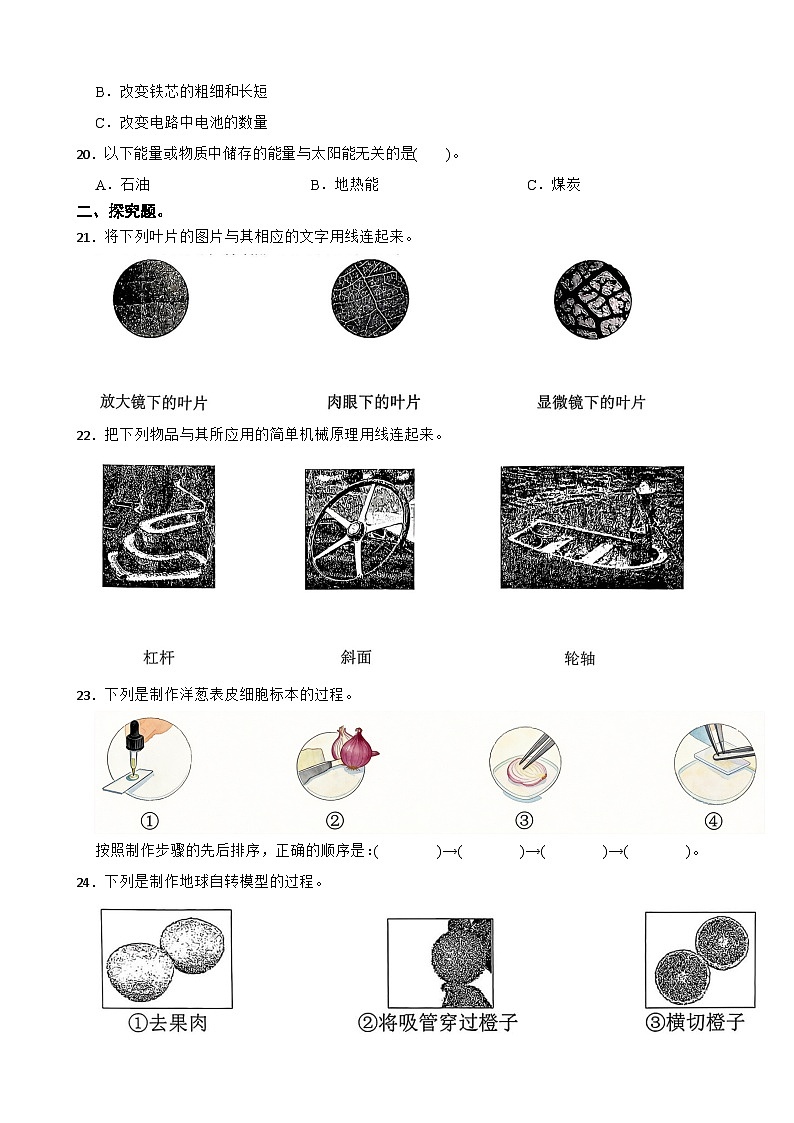 广东省深圳市龙岗区2025-2026学年六年级上学期期末科学试卷（含解析）第3页
