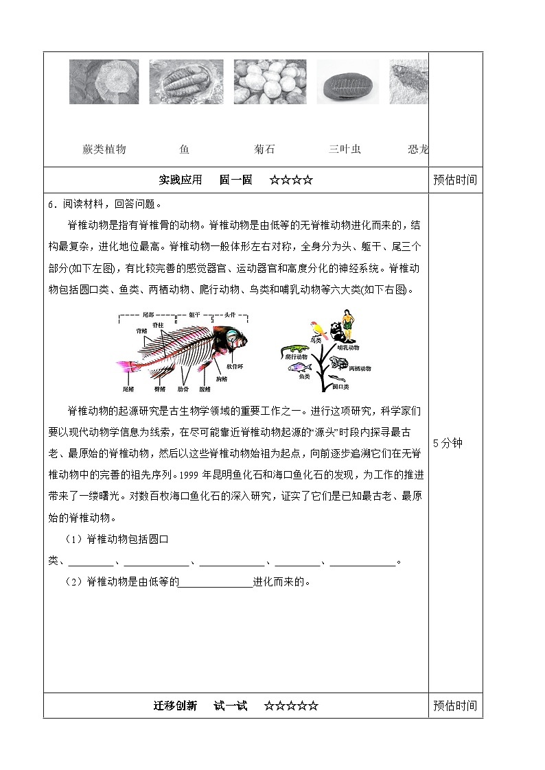 【分层作业设计】2.6 古代生物的多样性 同步练习（含答案）2025-2026学年教科版六年级科学下册第2页