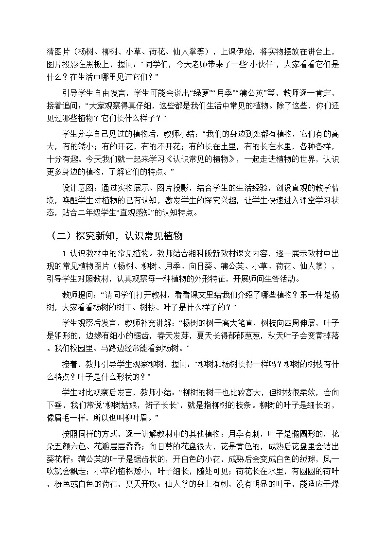 第二单元《4认识常见的植物》教案-2025-2026学年湘科版（新教材） 小学科学二年级下册第2页