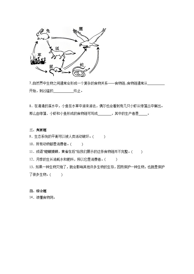 2026年教科版五年级下册（食物链和食物网）一课一练第2页