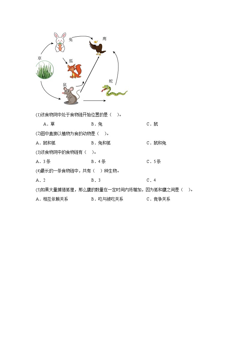 2026年教科版五年级下册（食物链和食物网）一课一练第3页