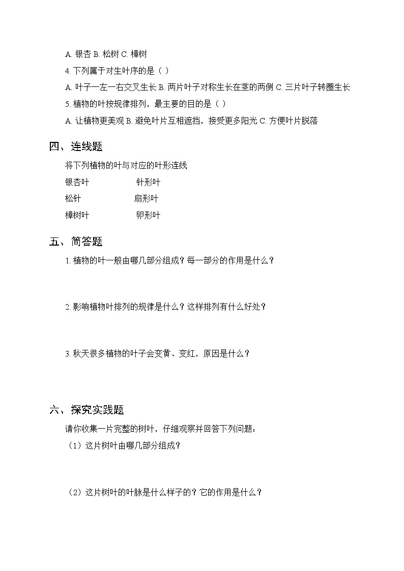2026春湘科版（新教材）小学科学三年级下册第2单元《10 叶的神奇》课时练习及答案第2页