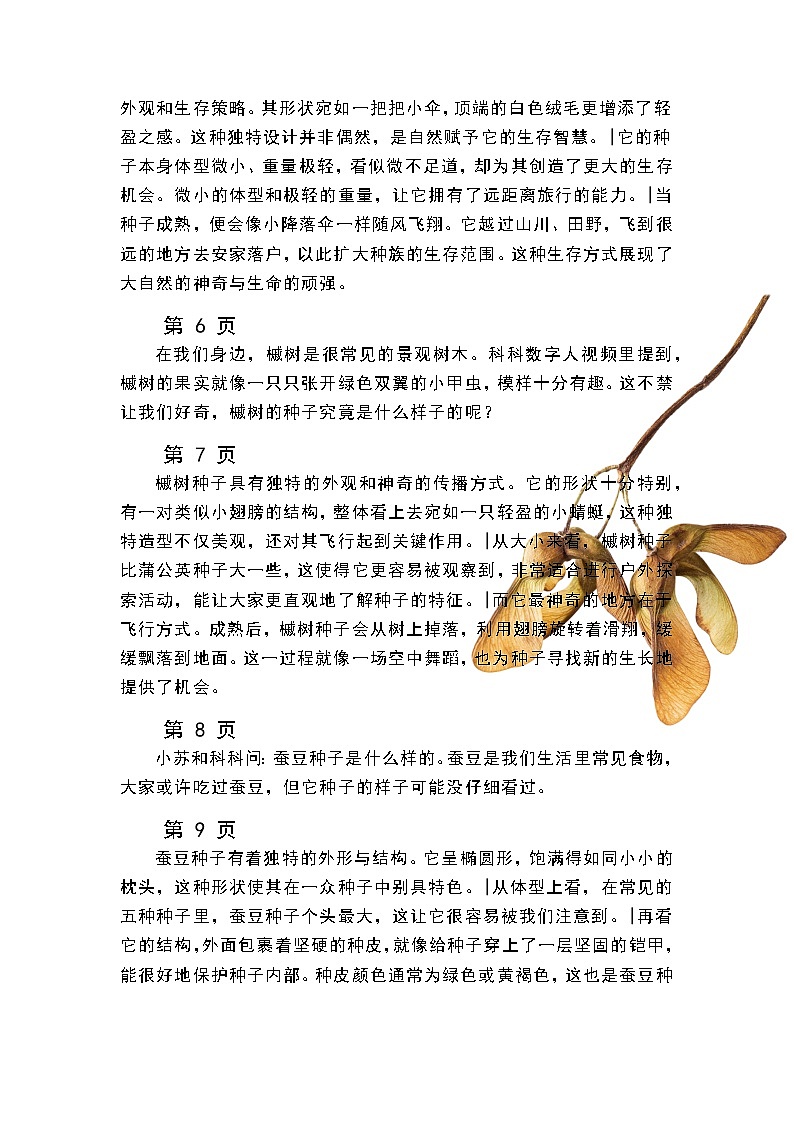 苏教版小学科学三年级下册 05种子发芽逐字稿（学案）第2页