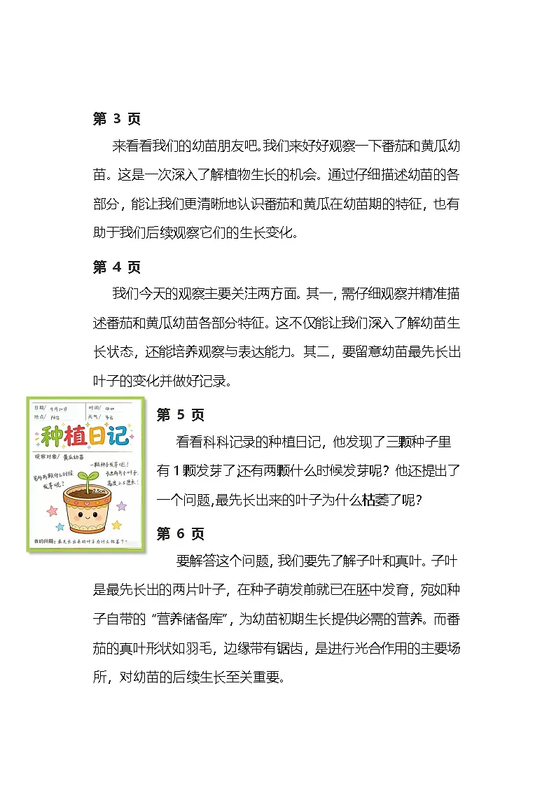 苏教版小学科学三年级下册 06幼苗长大了逐字稿（学案）第2页