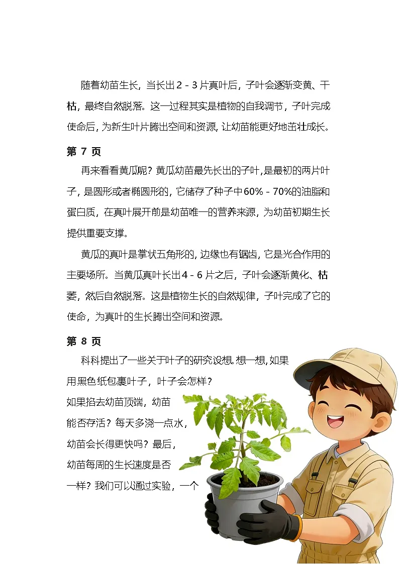 苏教版小学科学三年级下册 06幼苗长大了逐字稿（学案）第3页