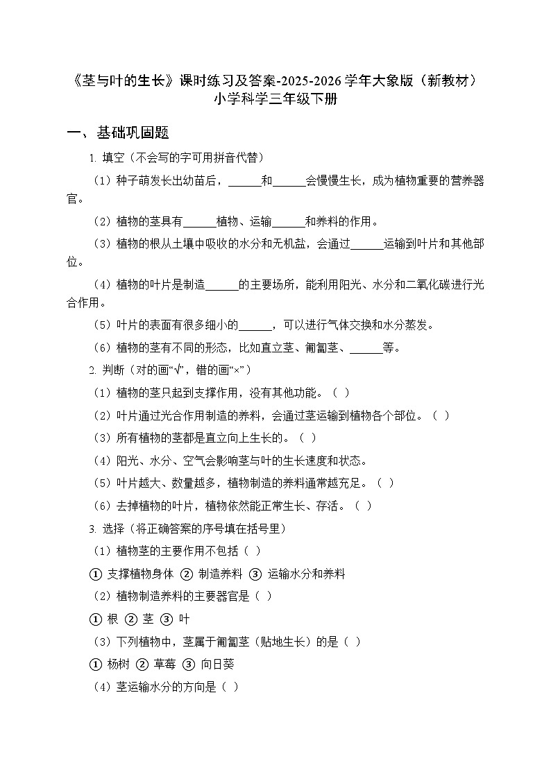 第二单元《3 茎与叶的生长》课时练习及答案-2025-2026学年大象版（新教材） 小学科学三年级下册第1页
