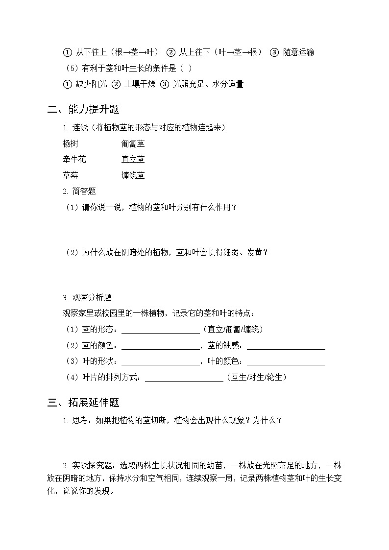 第二单元《3 茎与叶的生长》课时练习及答案-2025-2026学年大象版（新教材） 小学科学三年级下册第2页